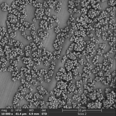 μαγνητικές χάντρες 2.8μm Streptavidin για Chemiluminescence την ταξινόμηση κυττάρων
