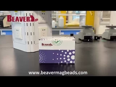BeaverBeadsTM Mag NH2 Μαγνητικά Μαστορίκια Unboxing Video