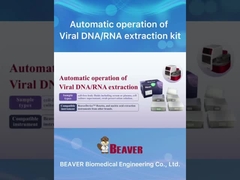 ΜπόβερΜπιτςTM Νουκλεϊκό οξύ Εξόρυξη και καθαρισμός Κιτ Μέθοδος μαγνητικών μαργαριταριών για την εξόρυξη