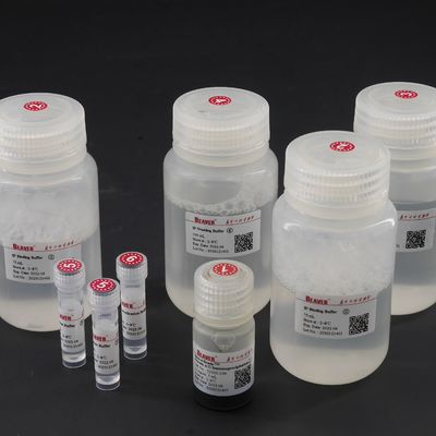 Ποιότητα  10 mg / mL Protein A  Magnetic Beads For Immunoprecipitation 100 Reactions Εργοστάσιο