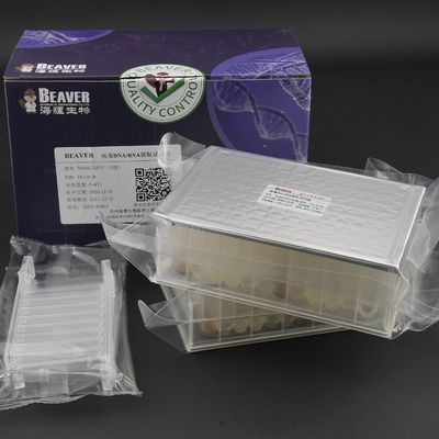 Ποιότητα  Viral DNA RNA Kit Nucleic Acid Extraction Kits Prefilled Plates 32 Reactions U Bottom Εργοστάσιο