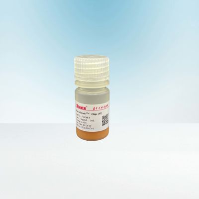 100mL 2,8 οληγο FDA εξαρτήσεων κατασκευής βιβλιοθήκης DNA χαντρών της DT μM μαγνητικό