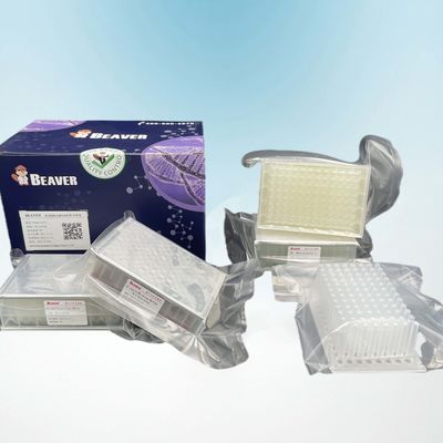Προερχόμενη από ιό εξάρτηση 96 FU RNA DNA BeaverBeads για τη γενετική δοκιμή