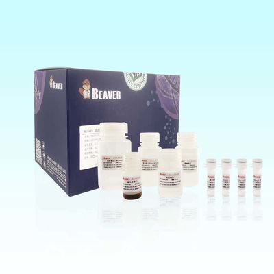 Εξάρτηση εξαγωγής RNA αίματος BeaverBeads με την υψηλή συμβατότητα