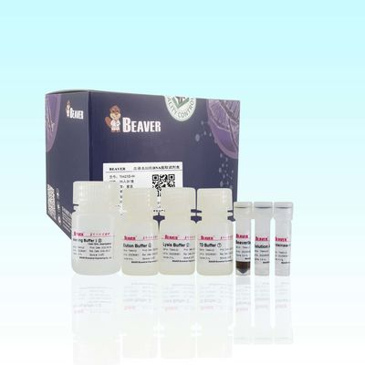 Εξάρτηση DNA αίματος BeaverBeads για την υψηλή αγνότητα αποσπασμάτων DNA
