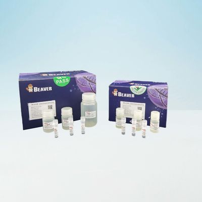 Γρήγορα εξάρτηση DNA αίματος BeaverBeads για την εργαστηριακή χρήση