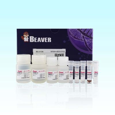Εξάρτηση DNA εγκαταστάσεων BeaverBeads για τη γρήγορη και αποδοτική εξαγωγή στη επιστημονική έρευνα