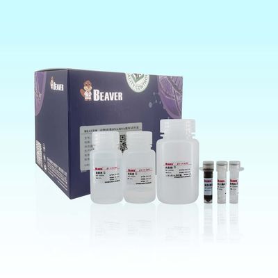 100 ζωική προερχόμενη από ιό εξάρτηση RNA DNA Rxns BeaverBeads για την αυτοματοποιημένη και υψηλή ρυθμοαπόδοση