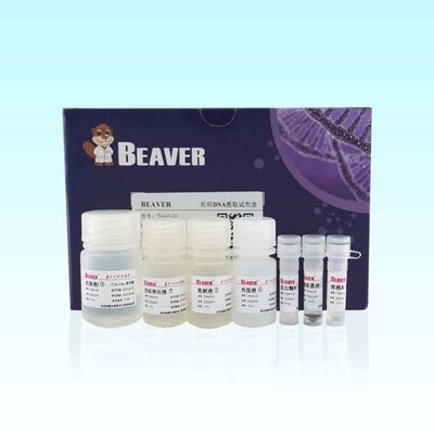 Εξάρτηση 20 DNA ιστού BeaverBeads υψηλή αγνότητα Rxns για την εξαγωγή