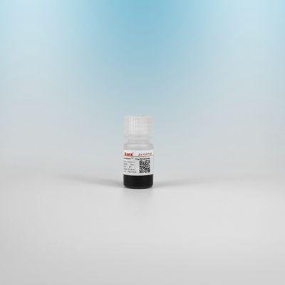 2.8 μM BeaverBeads Streptavidin για Immunoassay και συλλαμβάνει