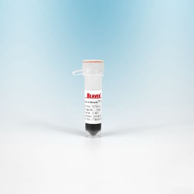 10 μαγνητικές χάντρες NHS μιλ. BeaverBeads 300 NM για την απομόνωση κυττάρων με την υψηλότερη ευαισθησία