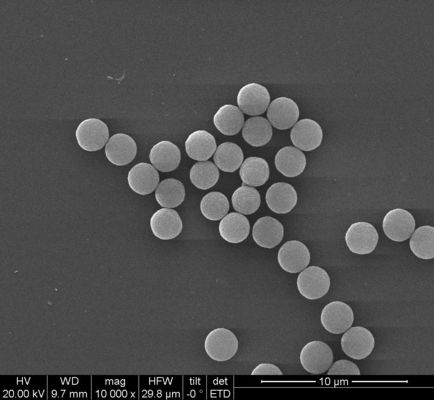 200 αντισώματα NM Streptavidin Biotinylated με αποτελεσματικά για Immunoassay