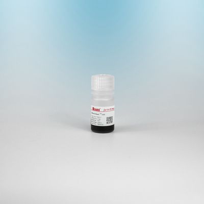 BEAVER GST σύντηξη πρωτεϊνών καθαρισμένες χάντρες GSH Μαγνητικές χάντρες Προτεϊνών καθαρισμός Νέο λειτουργικό υλικό Σχεδιασμένο κιτ GSH GST καθαρισμός πρωτεϊνών