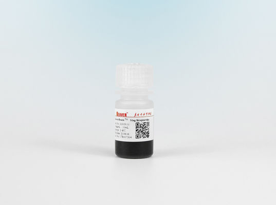 οι μαγνητικές χάντρες 1μm Streptavidin για Chemiluminescence τον ταξινομώντας έλεγχο κυττάρων συλλαμβάνουν