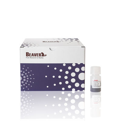 50% όγκο αναλογία 10 ml Αγαρόζη OH Magbeads πρωτεΐνη καθαρισμός εκχύλιση και καθαρισμός νουκλεϊκών οξέων