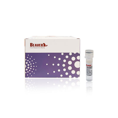 BEAVER GST σύντηξη πρωτεϊνών καθαρισμένες χάντρες GSH Μαγνητικές χάντρες Προτεϊνών καθαρισμός Νέο λειτουργικό υλικό Σχεδιασμένο κιτ GSH GST καθαρισμός πρωτεϊνών