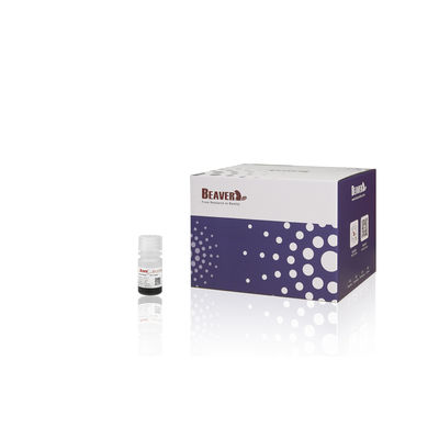 Μπόβερ Μπίλς 5ml Πρωτεϊνικές Μπίλς Αντι-Μπίλς Μαγνητικές Μπίλες