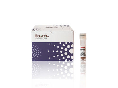 100 ml BeaverBeads IDA-Co με υψηλή απόδοση και χαμηλό κόστος 30-150um 10% συγκέντρωση