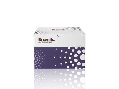 Μαγνητικές πολυμερείς χάντρες Immunodiagnosis 1μm 10 mg/$l*ml 5 μιλ.