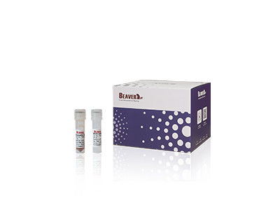 20 ζωική προερχόμενη από ιό εξάρτηση RNA DNA Rxns BeaverBeads για τη επιστημονική έρευνα