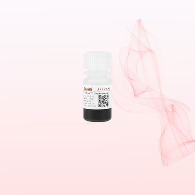 BeaverBeads 1um/2um/5um/300nm/2.8um/3um Streptavidin Μαγνητικές Μαστορίνες για Χημειοφωτισμό και ανίχνευση πυρηνικών οξέων