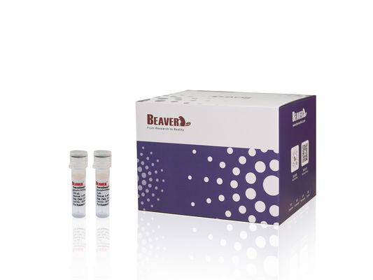 BeaverBeads™ Αντιδραστήριο Καθαρισμού PCR Κιτ Νουκλεϊνικού Οξέος για Ανάκτηση DNA και Αφαίρεση Ακαθαρσιών από Προϊόντα PCR