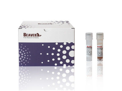 Σετ Απομόνωσης Κυττάρων CD4 Ποντικού BeaverBeads, Πιστοποιημένο CE Για Εργαστηριακή Έρευνα