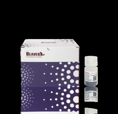 Μαγνητικές χάντρες BeaverBeads Anti-HA