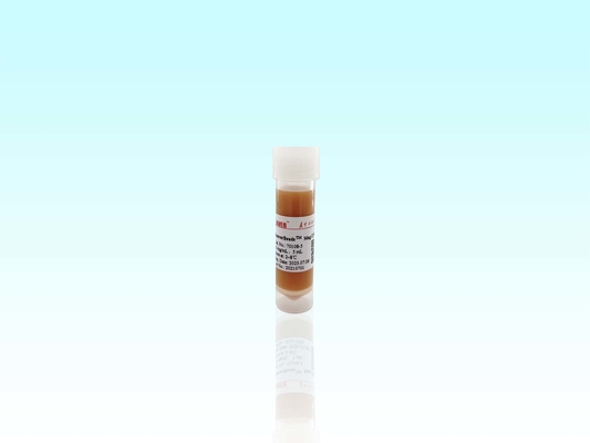 Μαγνητικές χάντρες BeaverBeads Magrose DEAE