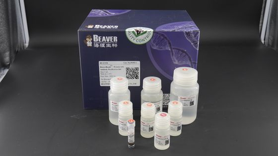 2μm 30 mg/$l*ml 1 πρωτεϊνική A/G εξάρτηση καθαρισμού αντισωμάτων μιλ. για τον πρωτεϊνικό καθαρισμό