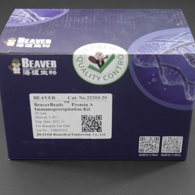 10 mg/$l*ml πρωτεϊνικές μαγνητικές χάντρες A/G για Immunoprecipitation 20 αντιδράσεις