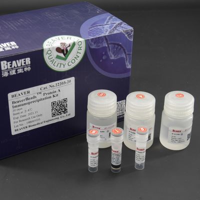 10 mg/$l*ml πρωτεΐνη μια Immunoprecipitation εξάρτηση 20 αντιδράσεις
