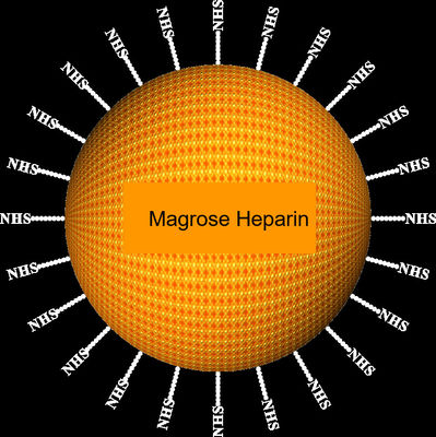 Πρωτεϊνικός καθαρισμός Magbeads 30-150 μm, αναλογία όγκου 10%, 1000 μιλ. ηπαρίνης αγαρόζης