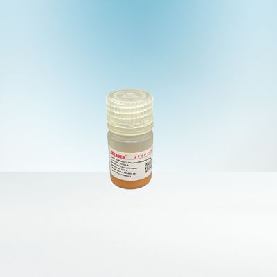 μαγνητικές χάντρες 20% 1030μm Agrose Streptavidin για Biotinylated IgG 5 μιλ.