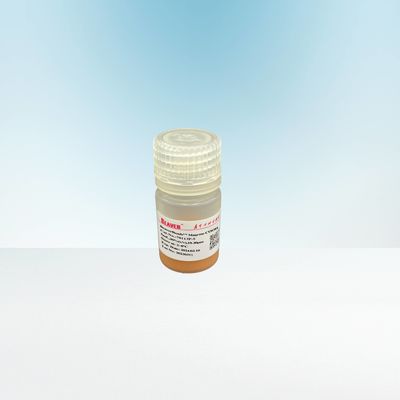 Πρωτεϊνικό αγαρόζη καρβοξυλικό Magbeads καθαρισμού 10 - 30 αναλογία όγκου μM 20%
